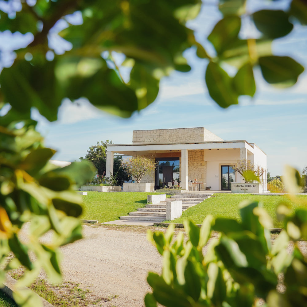 Tenuta Corallo Winery