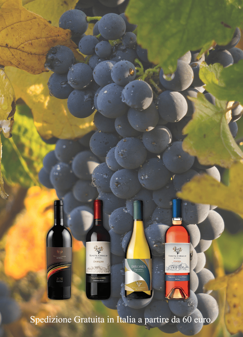 Tenuta Corallo Winery