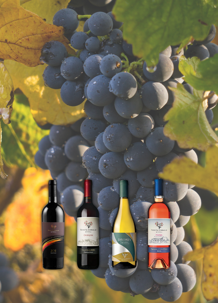 Tenuta Corallo Winery