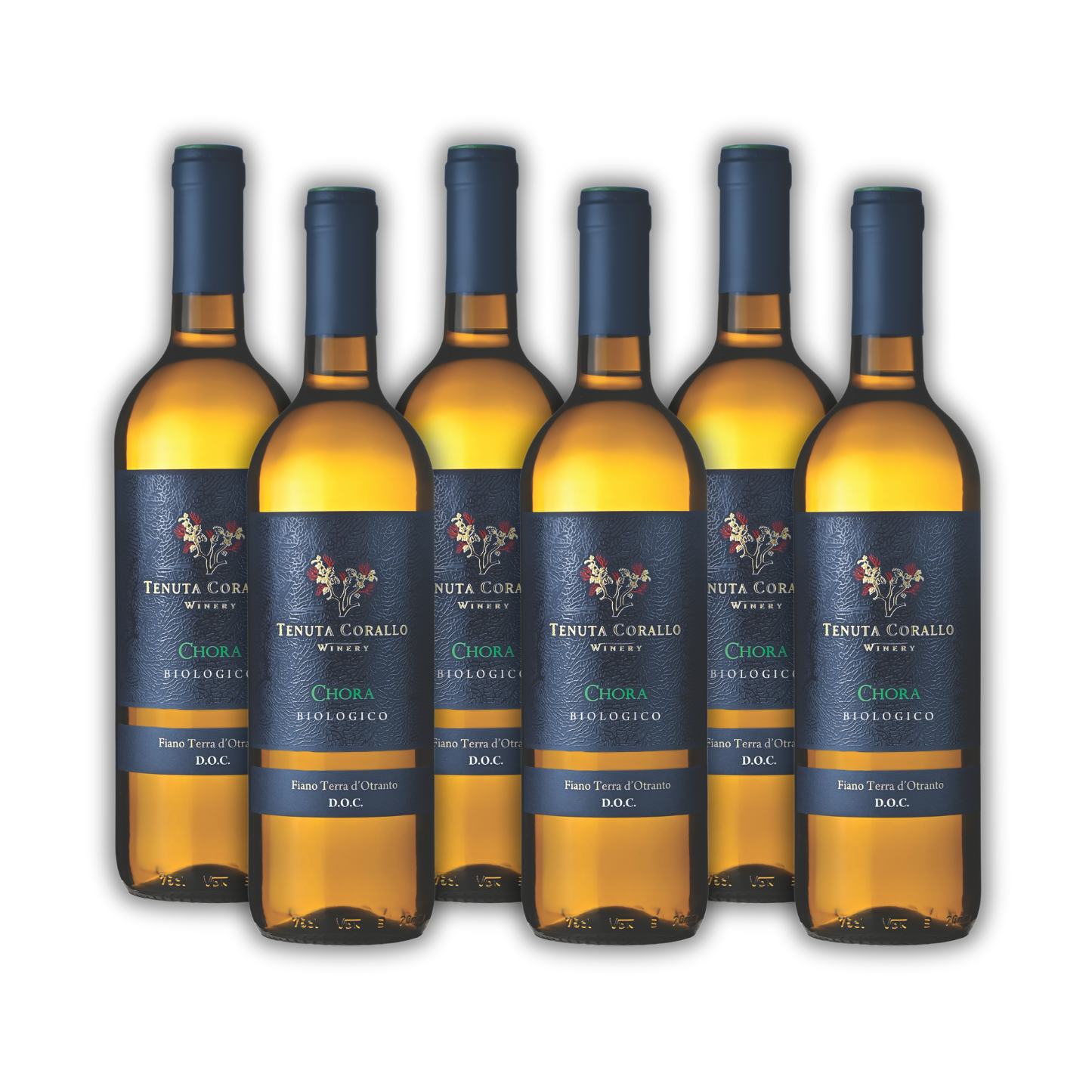 Cassa 6x CHORA Fiano Bianco DOC Terra d’Otranto
