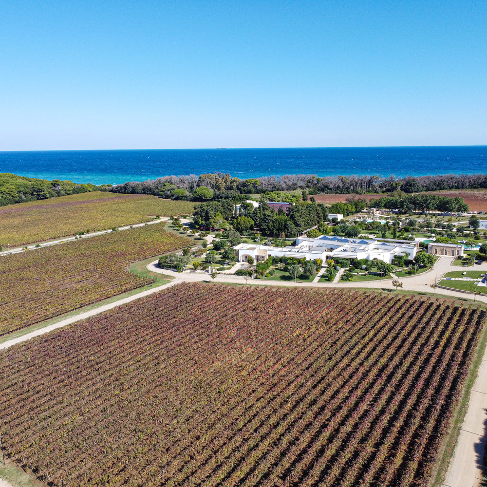 Tenuta Corallo Winery