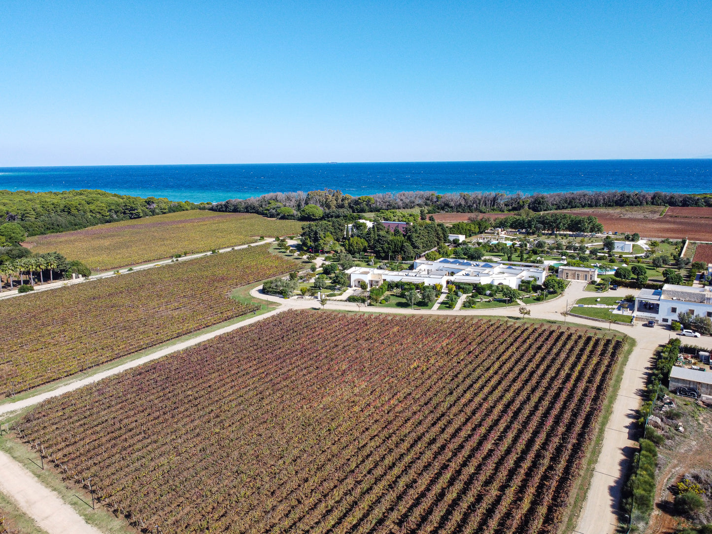 Tenuta Corallo Winery