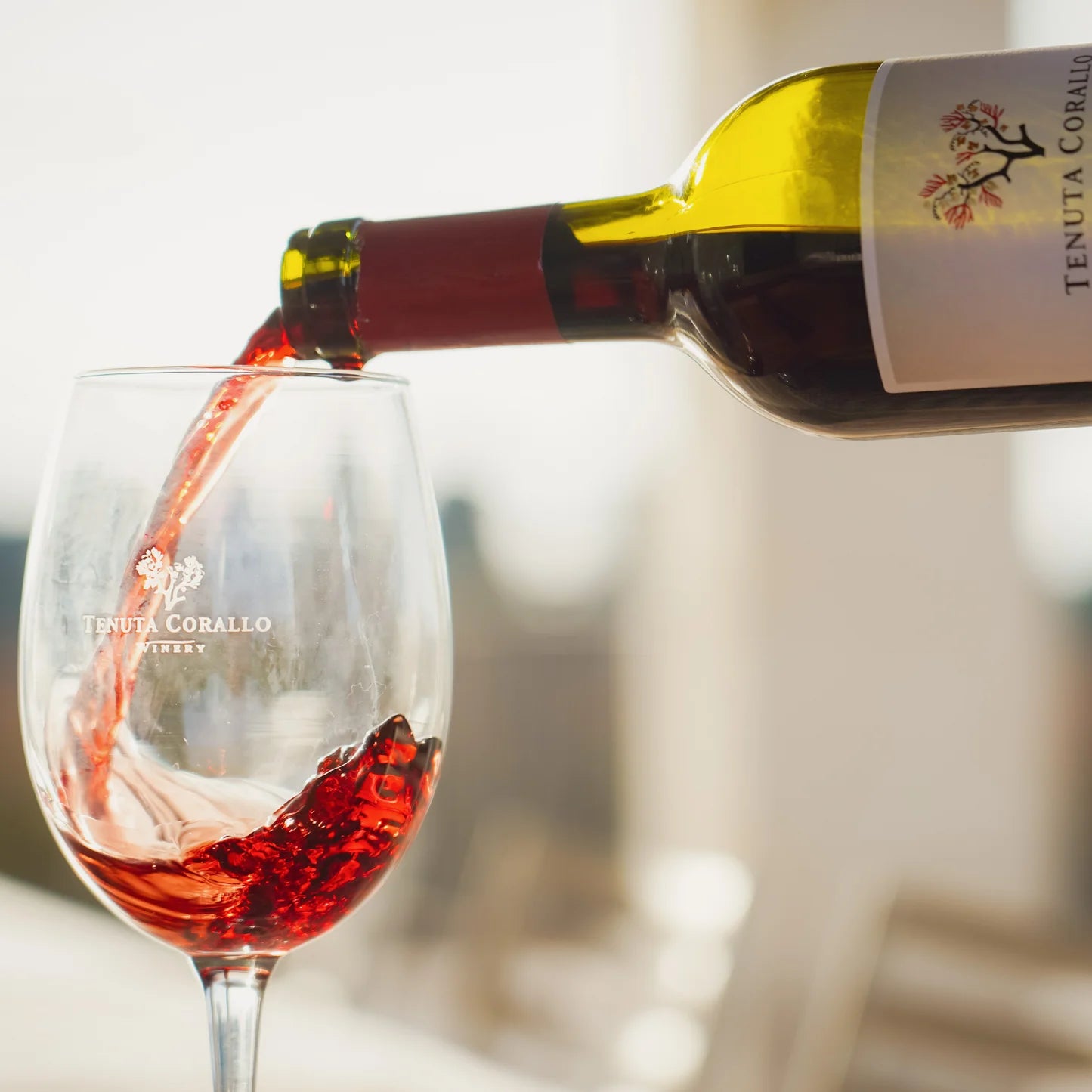 Cassa 6x ORTEROSSE Primitivo Rosso DOC Terra d’Otranto