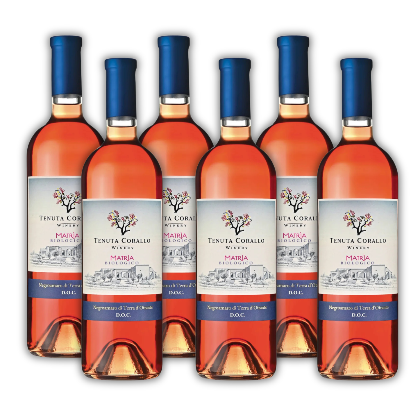 Cassa 6x MATRÌA Negroamaro Rosato DOC