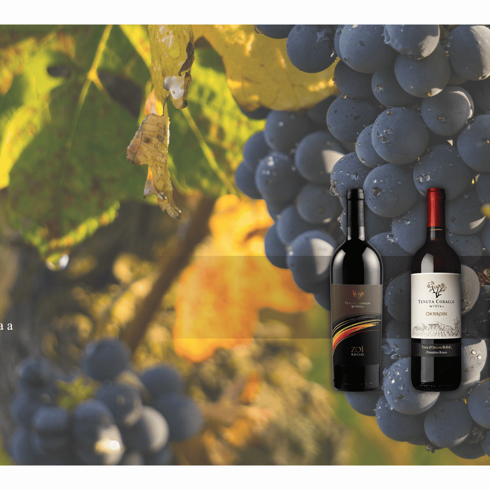 Tenuta Corallo Winery