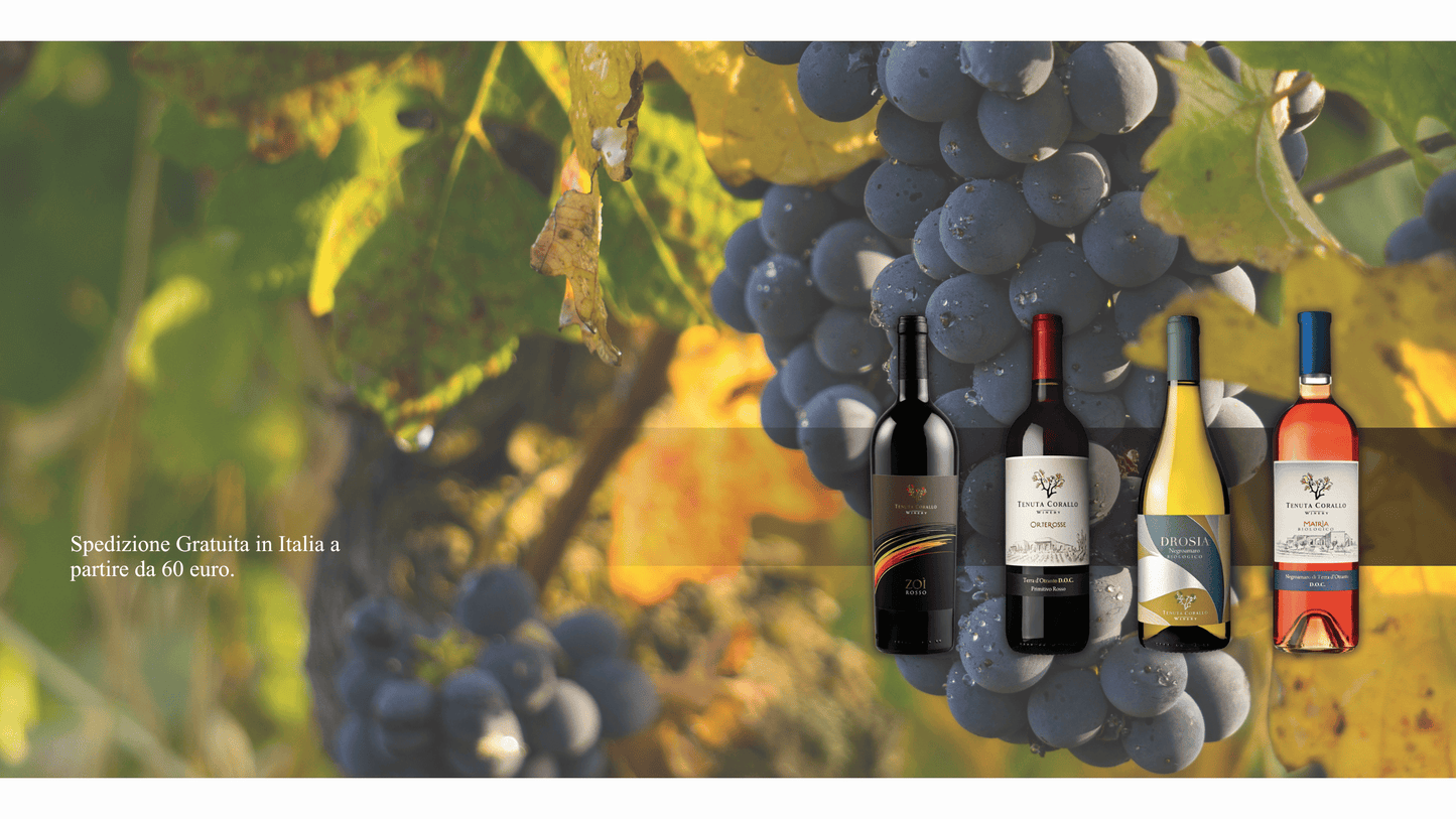 Tenuta Corallo Winery