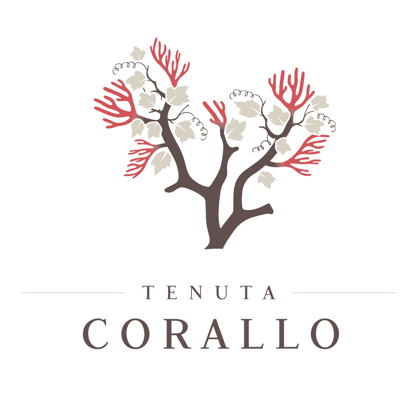 Tenuta Corallo Winery